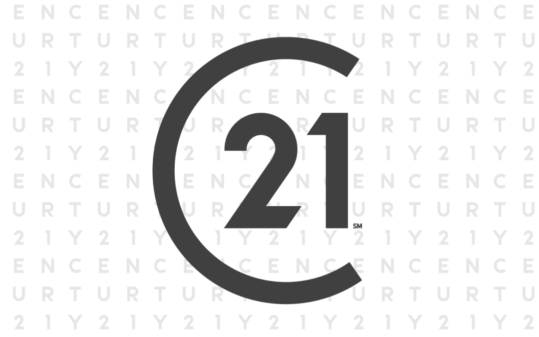 Century 21 Folders, “Pattern” Gray